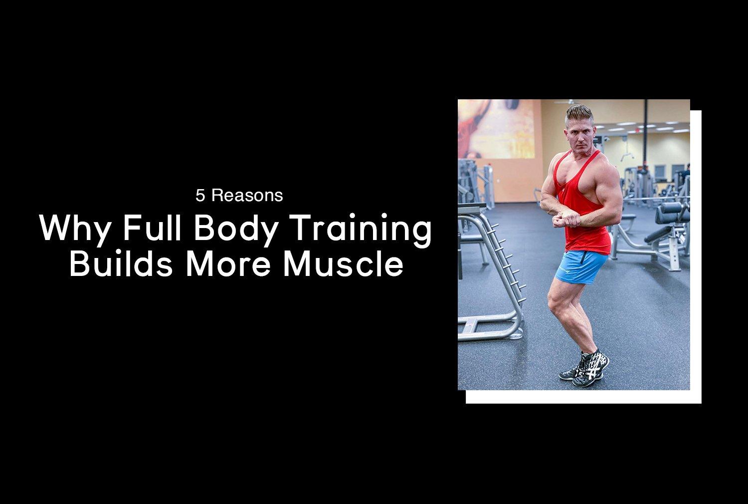 5 Reasons Why Full Body Training Will Help You Build More Muscle